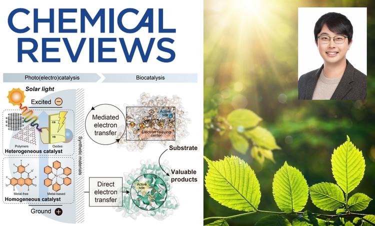 신소재공학과 김진현 교수, 국제학술지 ‘Chemical Reviews’ 게재